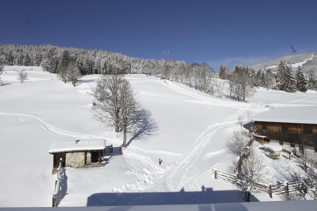 Ferienwohnung Eberharthof Saalbach Exterior foto